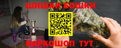 прущие крисы Камышлов