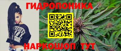 прущие крисы Камышлов