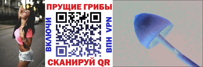 дарнет шоп  Лысьва  Галлюциногенные грибы Psilocybe 