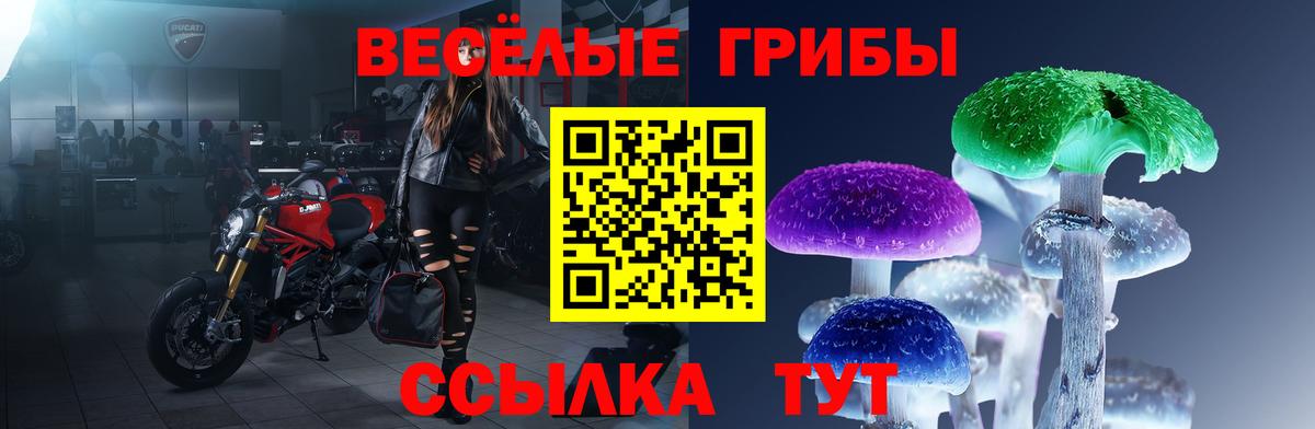 Псилоцибиновые грибы мухоморы  Галлюциногенные грибы Psilocybine cubensis  Лысьва  Вход с VPN 
